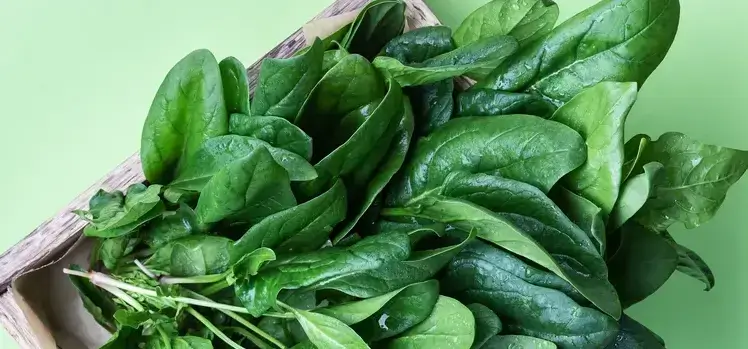 The Amazing Health Benefits of Spinach